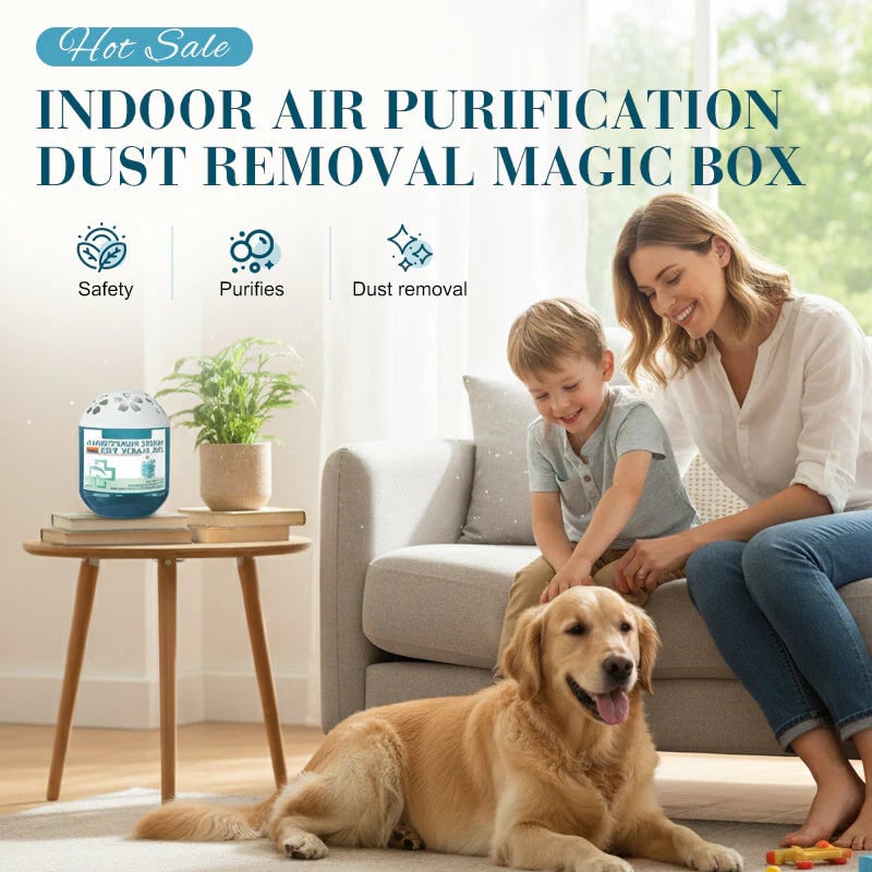 🔥 Time Pre-Sale⏰Indoor Air Purification Dust Removal Magic Box🏠