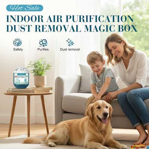 🔥 Time Pre-Sale⏰Indoor Air Purification Dust Removal Magic Box🏠